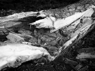 Terugkeer naar aarde